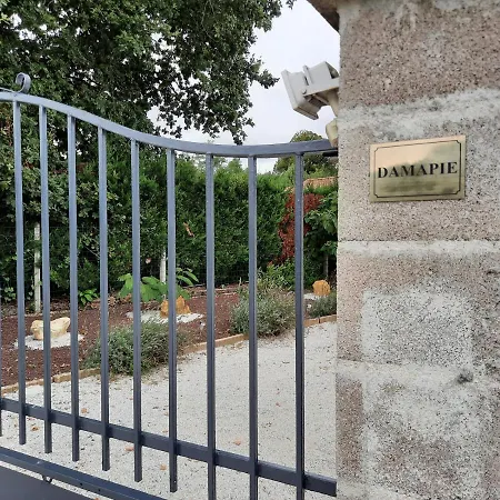 Damapie